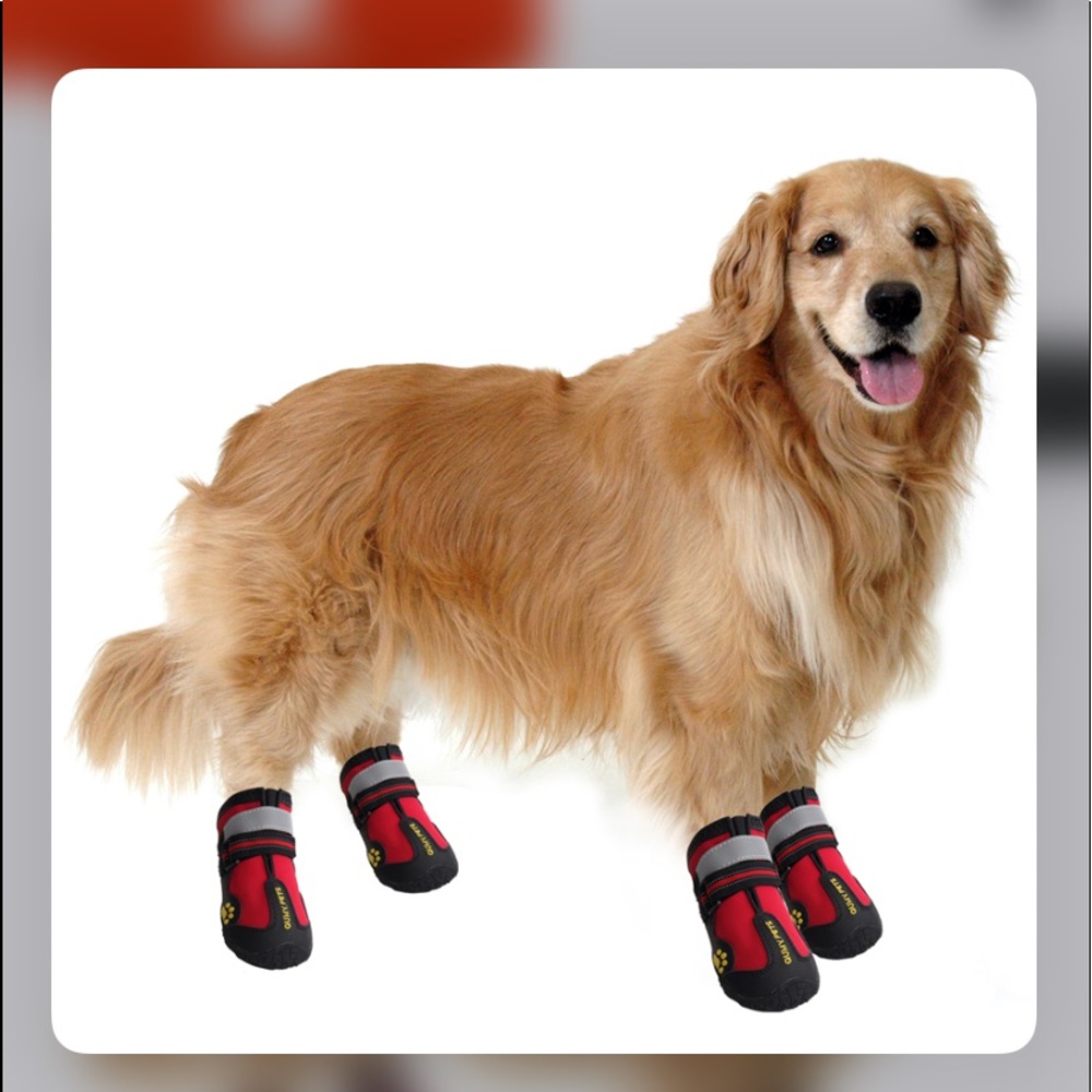 Qumypets | *NEW* Dog Boots